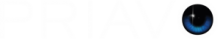 Priavo Private Security and Risk Management
